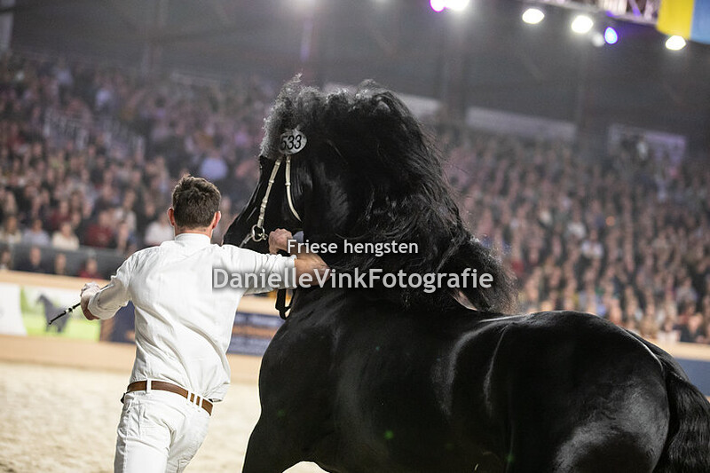 Hengstenkeuring 2023 Jimte 533