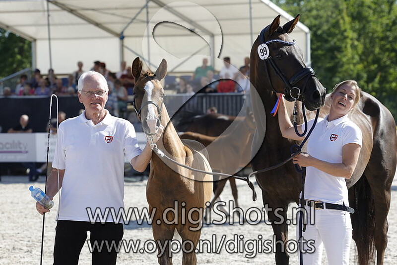 Trinellowaard v. Extreme US