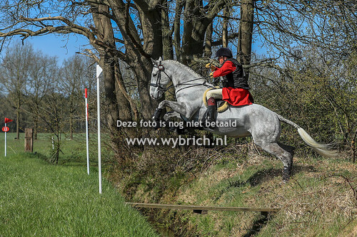 NK jachtpaarden 12-4-2025