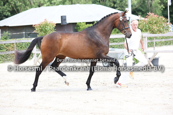 26 Sequel Spring SSS (Las Vegas x Lavishy Spring SSS v. Hennessy) (1)