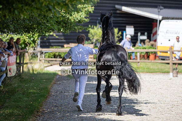 Rubriek 06B premiekeuring 3 jarigen