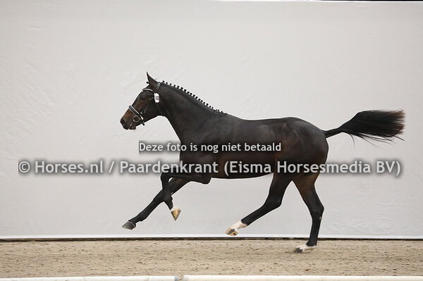 540 Painted Black x Oscar