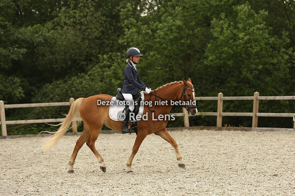 Sprang Capelle dressuur 05-06-2021