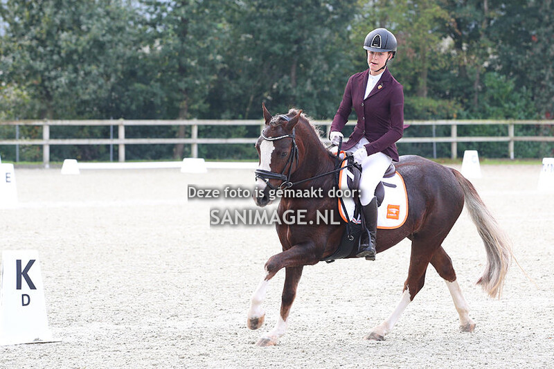 Nationale Welsh Sportdag 23-09-2023 Dressuur Ring 2/3/4 (9.00-12.00 uur)