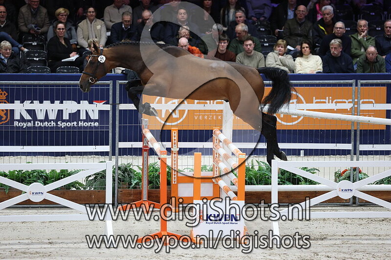 Cardinal Virtue El Z v. Carrera VDL