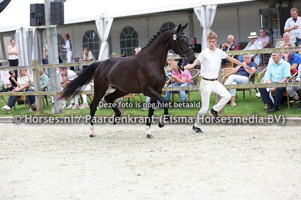 234 Sexy Lady Utopia (Ferro x Beautifull Utopia)