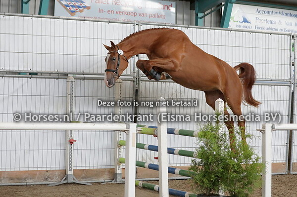13-07-23 STB en CK Friesland springen