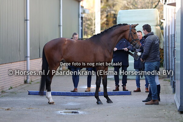 42 Kante (Rheinglanz x His Moment)