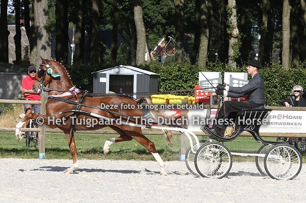 Kampioenen aangespannen 2021