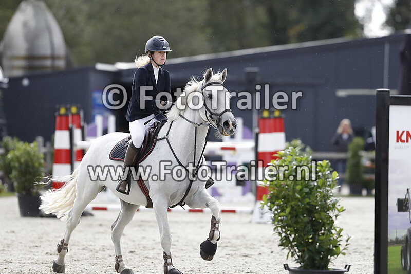 anke marije de vries