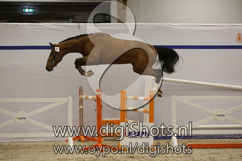 Socup van de Wachtpost v. Ermitage Kalone