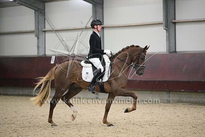 Jesper van Heijst - Santana V