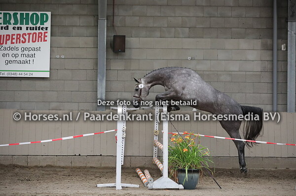 2 Marbella (Hermitage x Whinny v. Carambo)