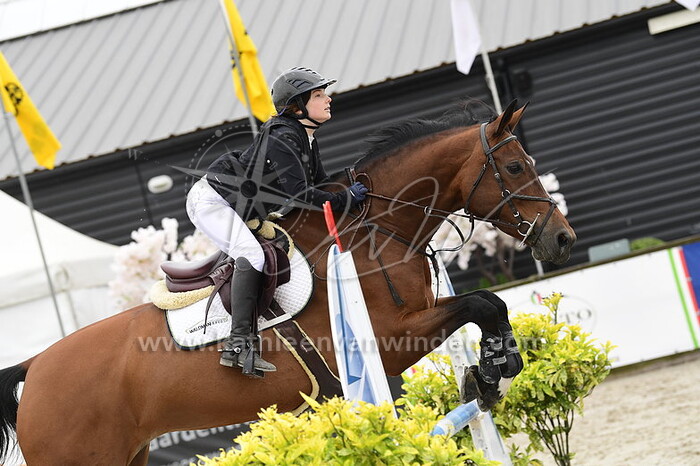 Izzy Waldman - Miss Cake