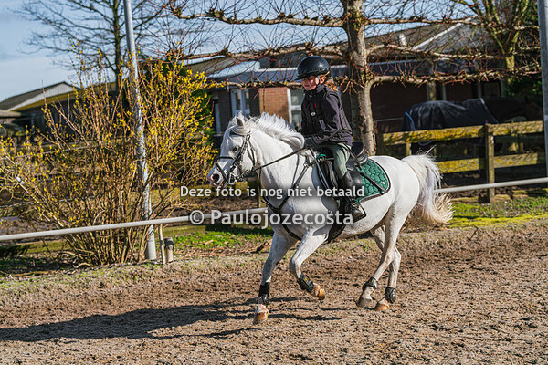 02/03/2024 10:00 tot 11:00 Stal Maarse