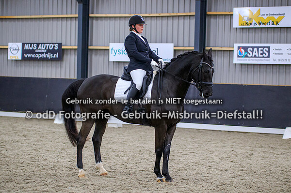 Dressuur PSV Nederweert Paarden Z1 Z2 ZZL 12-12-21