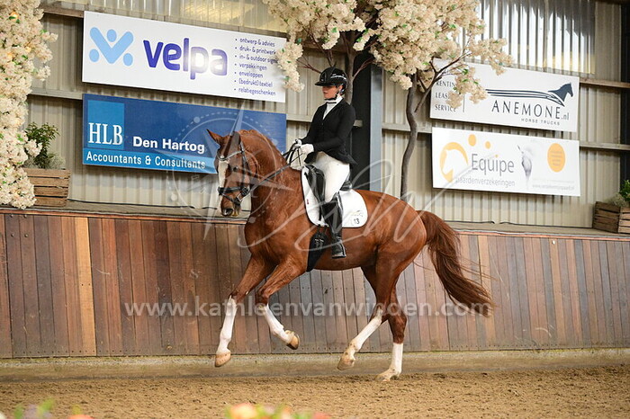 Fleur Vos - Special Edition