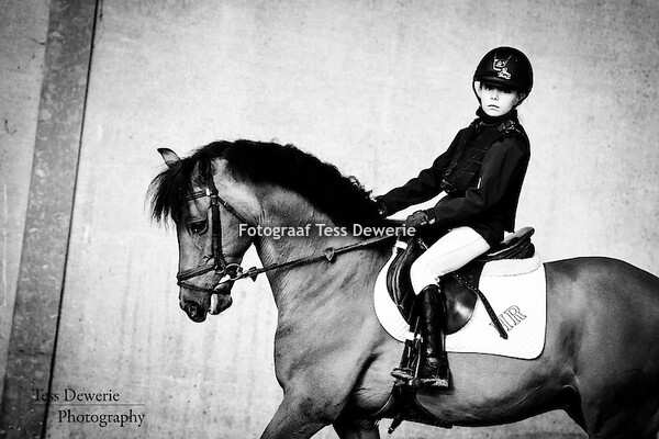 LRV Indoor Koningshooikt 16 & 17.01.2016