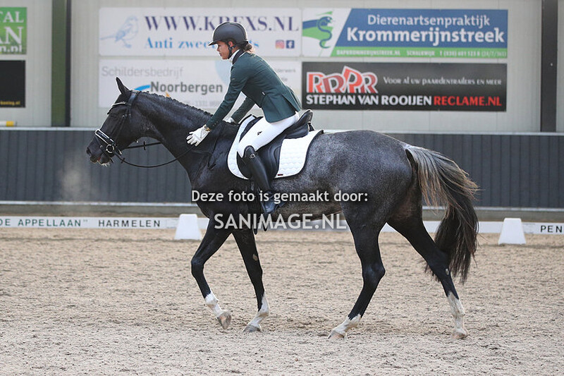 De Voornruiters De Meern Dressuur 26-11-2022 13.00 uur