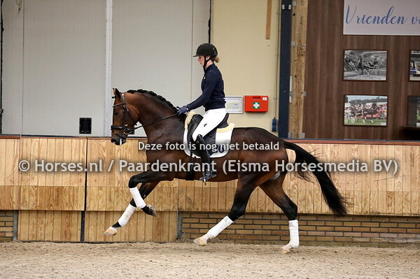 26 Blue Hors Monte Carlo TC