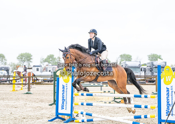 Outdoor Beukers - Paarden 100cm