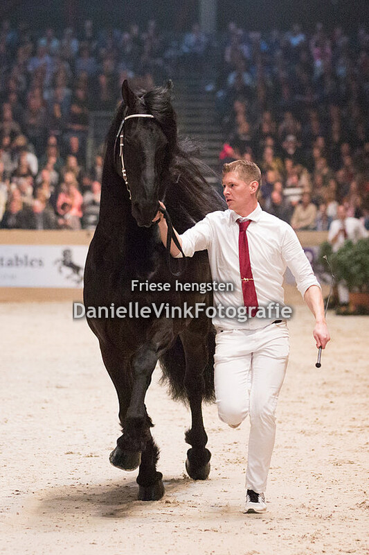 Hengstenkeuring 2018 Jouwe 485