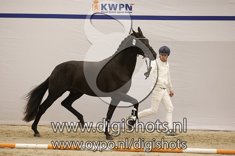 Starfighter of Invictus v. Furstenball