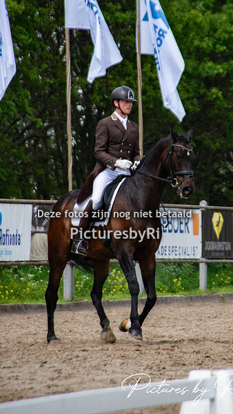 09-05-2024 Dressuur Maassluis