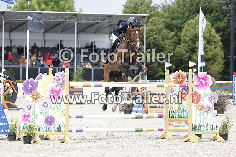 constantin cojocariu