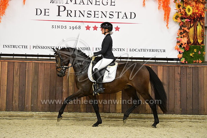 Noortje Geerts - Phoenix van de Prinsenstad