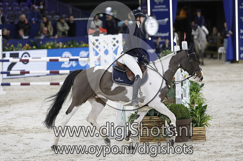 Rainbow K van t Kattenheye