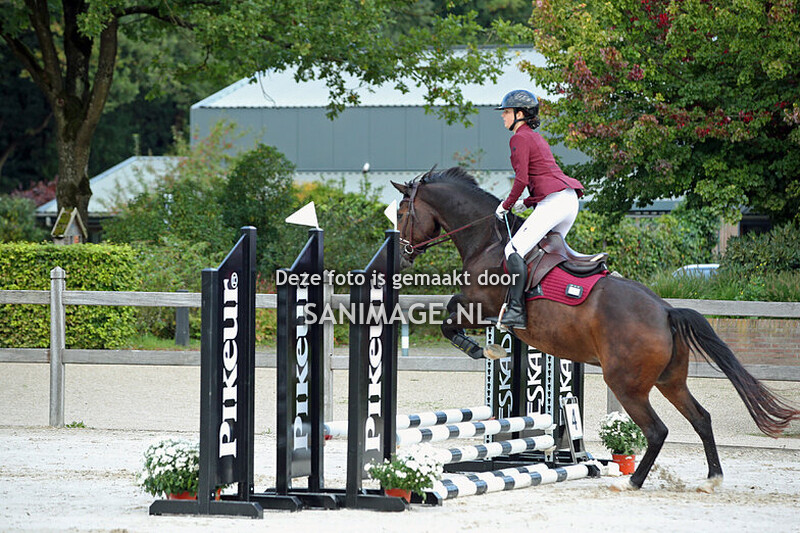 New Forest Pony Sportdag 20-09-2025 Springen 40-50 cm