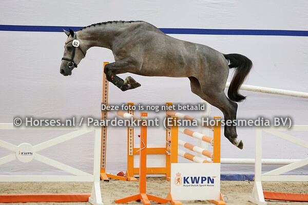 62 Smurfan de Levee (Chaccoon Blue x woradiella v. Orame)