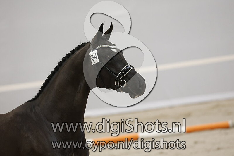 Roubaix Ter Selle S v. For Ferrero - 354