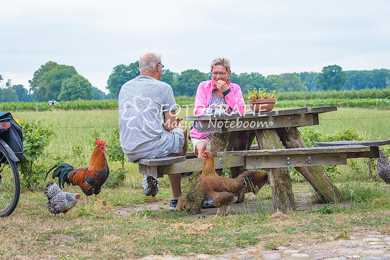 Fietsvierdaagse Markelo 2018