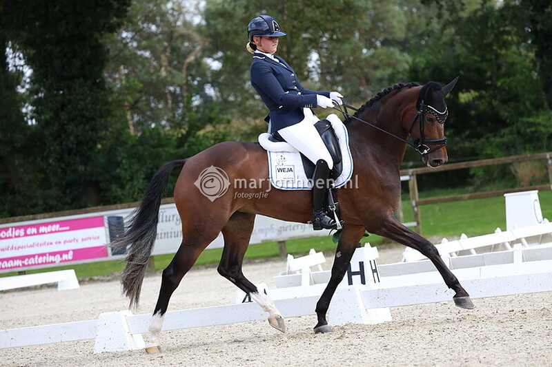 407_Z.STER_FINALES_15sept