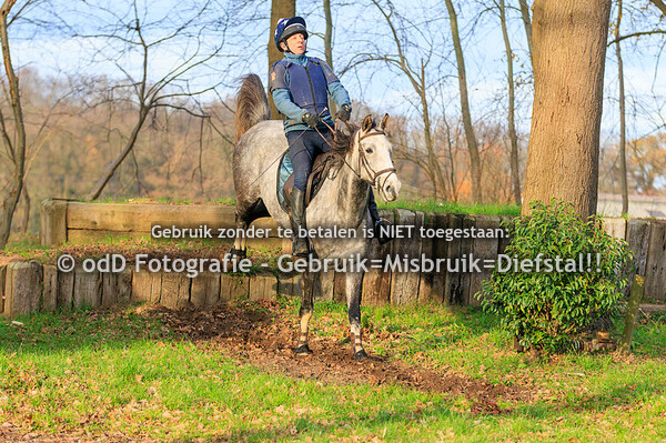 Trainingen Margo Millstream Groep 2 14.00 01-12-24