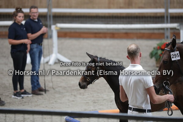295 Giulietta (Numero Uno x Curoos v. Ukato) met veulen