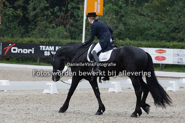 Ykje Baron - Jitze fan Bronny Friesians