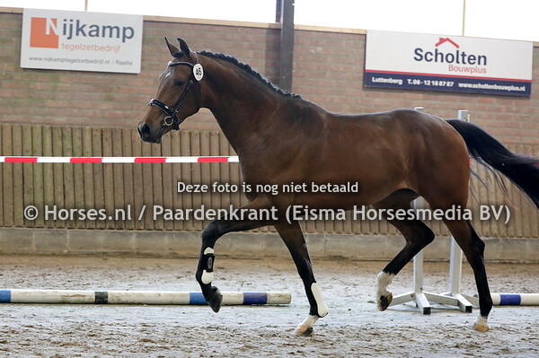 46 Nouvelle Whispering (Vivaldi x Whispering Nouvelle v. Rhodium)