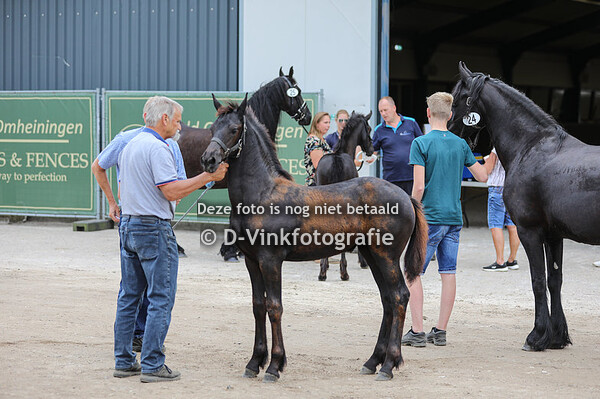 24. Tessy van ut Wappus