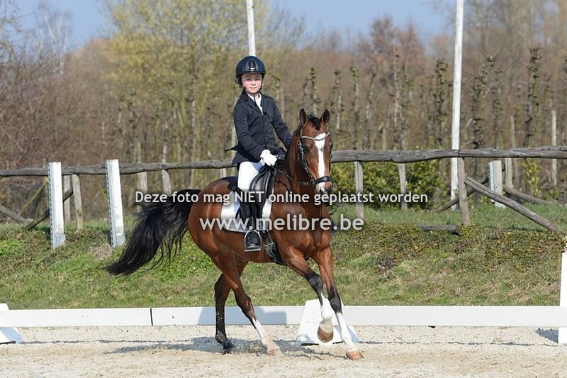 Dressuur Gravenhof 6/03/22