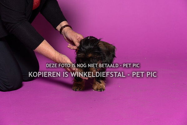 welkoop apeldoorn 2022 september