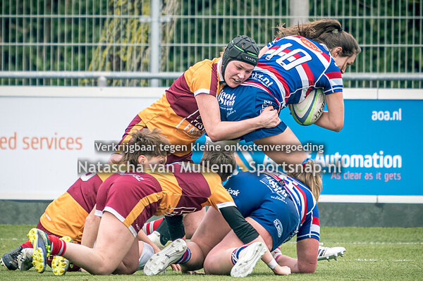 2026-02-01 Rugby: RC Waterland-RUS (v)