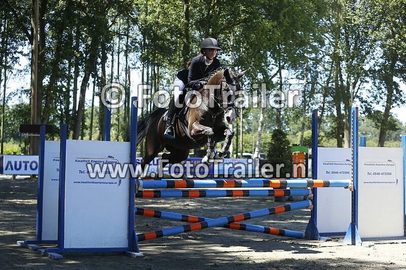 angelique van der weele