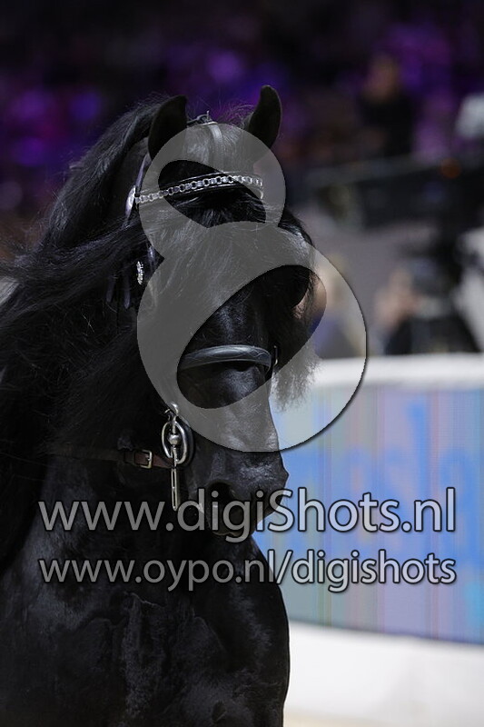 Jouwe 485 v. Pier 448