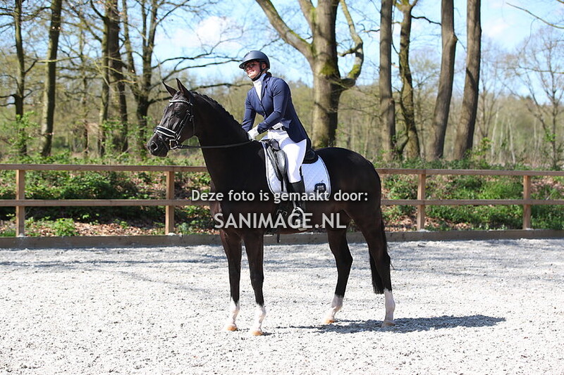 RC Henschoten Maarn Dressuur 07-04-2024 11.40 uur