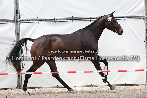 27 Lissy S (Governor) (2)