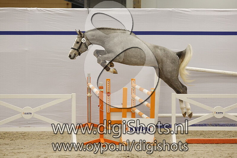 Skua v. Emerald van 't Ruytershof