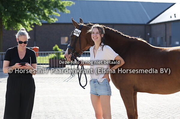 204 Romantica (Las vegas x Flashback)